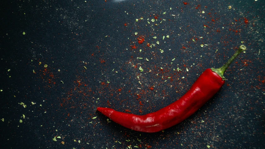a red chili sits on a dark background