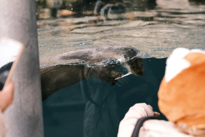 a zoo keeper taking pictures of the water