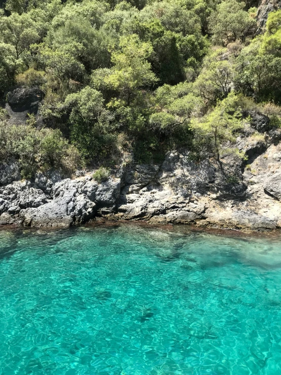 a rocky shoreline is visible from a body of water