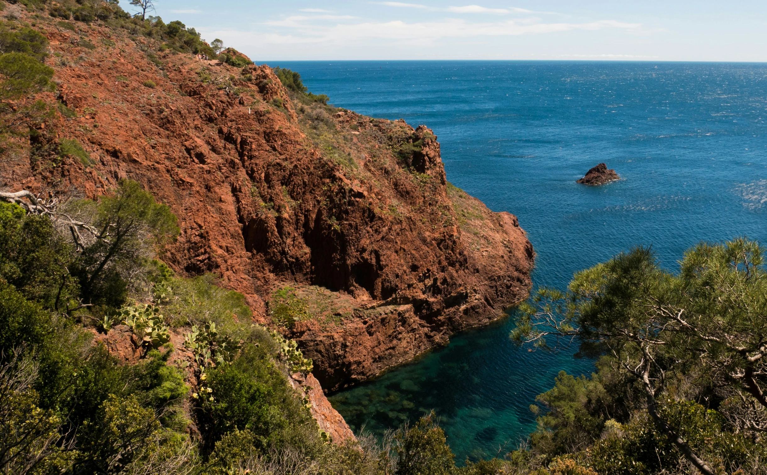 a large body of water next to lush green trees