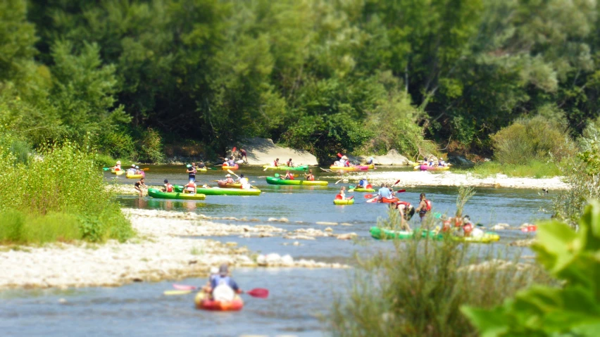 many boats in the water near a shore