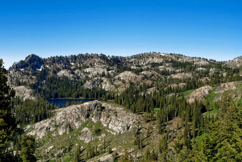 the tops of mountains in a forest with trees