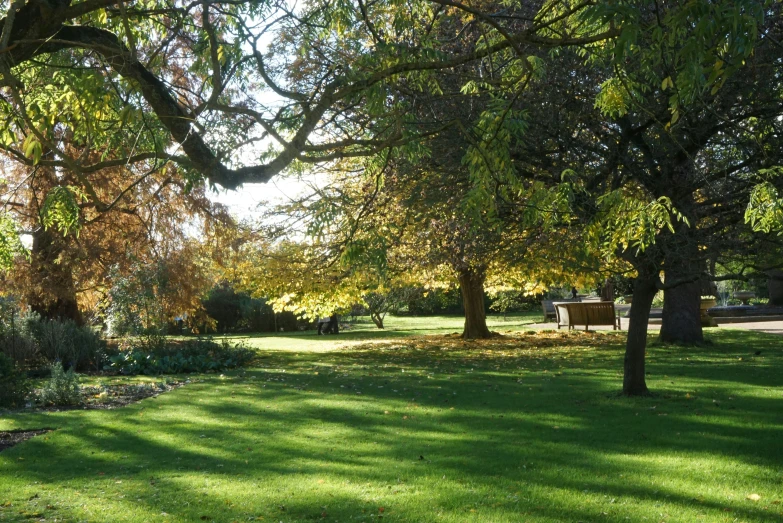 a park filled with lots of green grass and trees