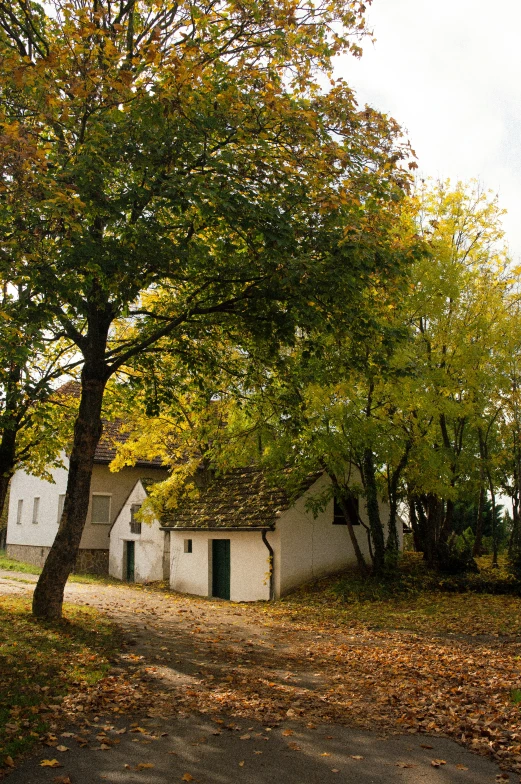 two trees are in front of a small house with two doors