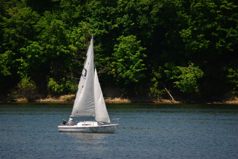 the lone sailboat has white sails on a bright, sunny day