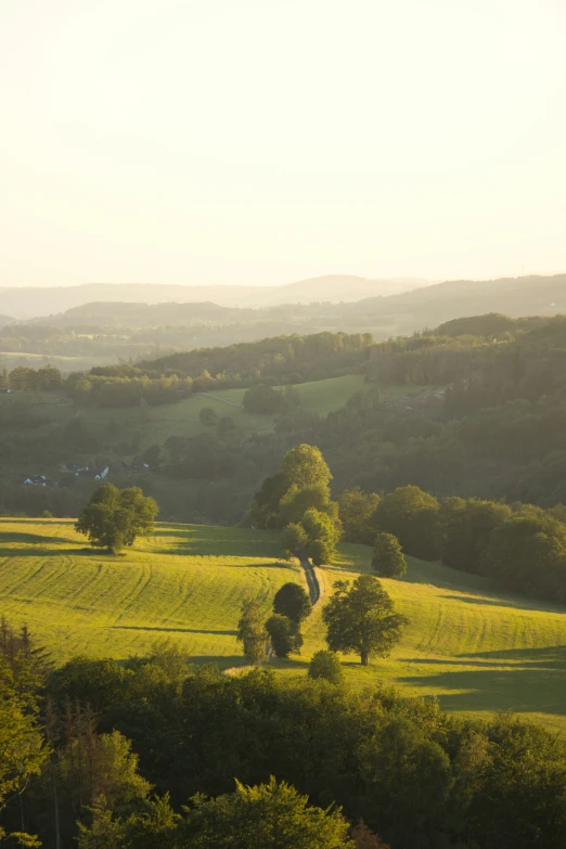 a view of some trees and hills and grass