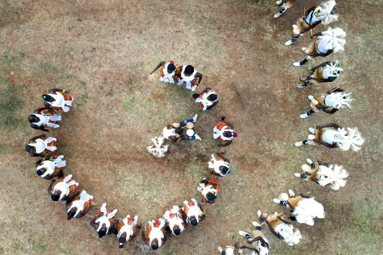 a group of horses making a heart with their heads together