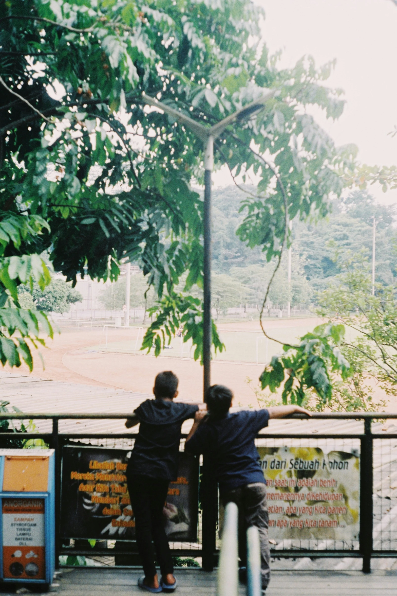 two people watching an animal that is feeding at the zoo