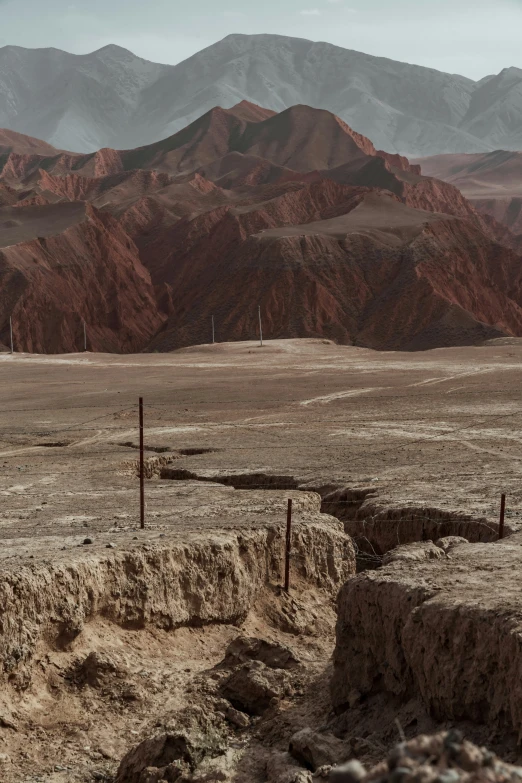 a person on a bike rides over a dry desert