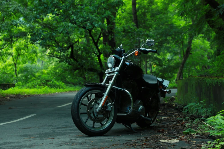 the motorcycle is parked beside the road in the woods