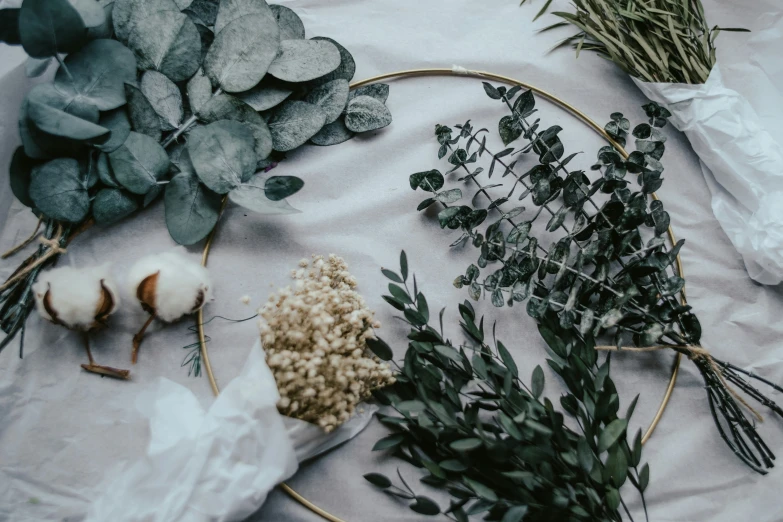 some plants laying on the ground next to a round object