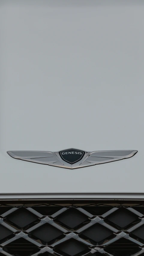 a emblem on the grill of an automobile