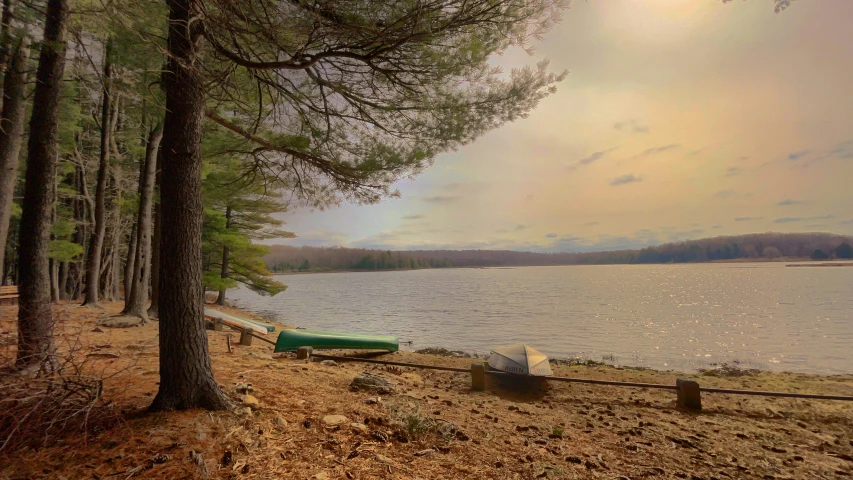 canoes tied to the shore of a calm lake