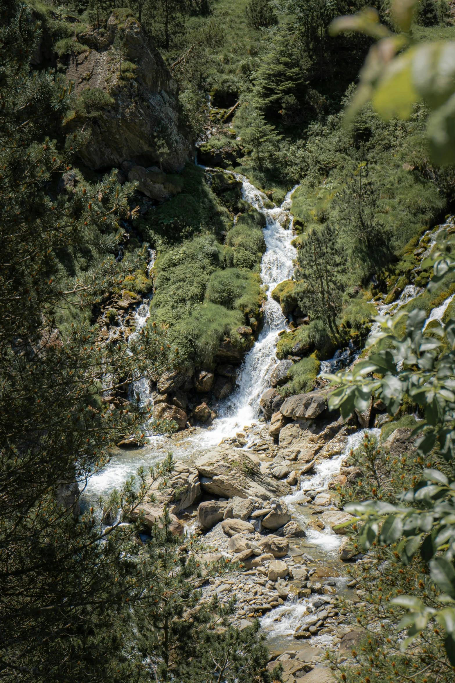 a creek on the side of the mountain in the middle of the woods