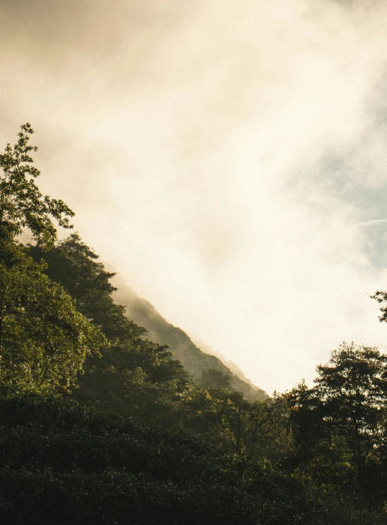 a mountain covered in trees under a cloudy sky