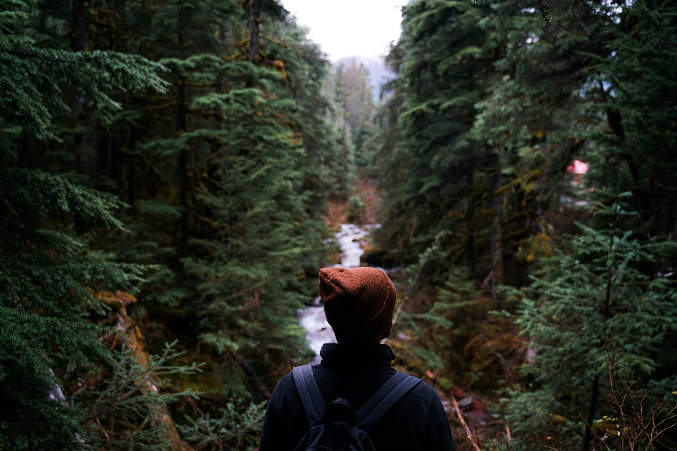 the man stands in the middle of the wooded area