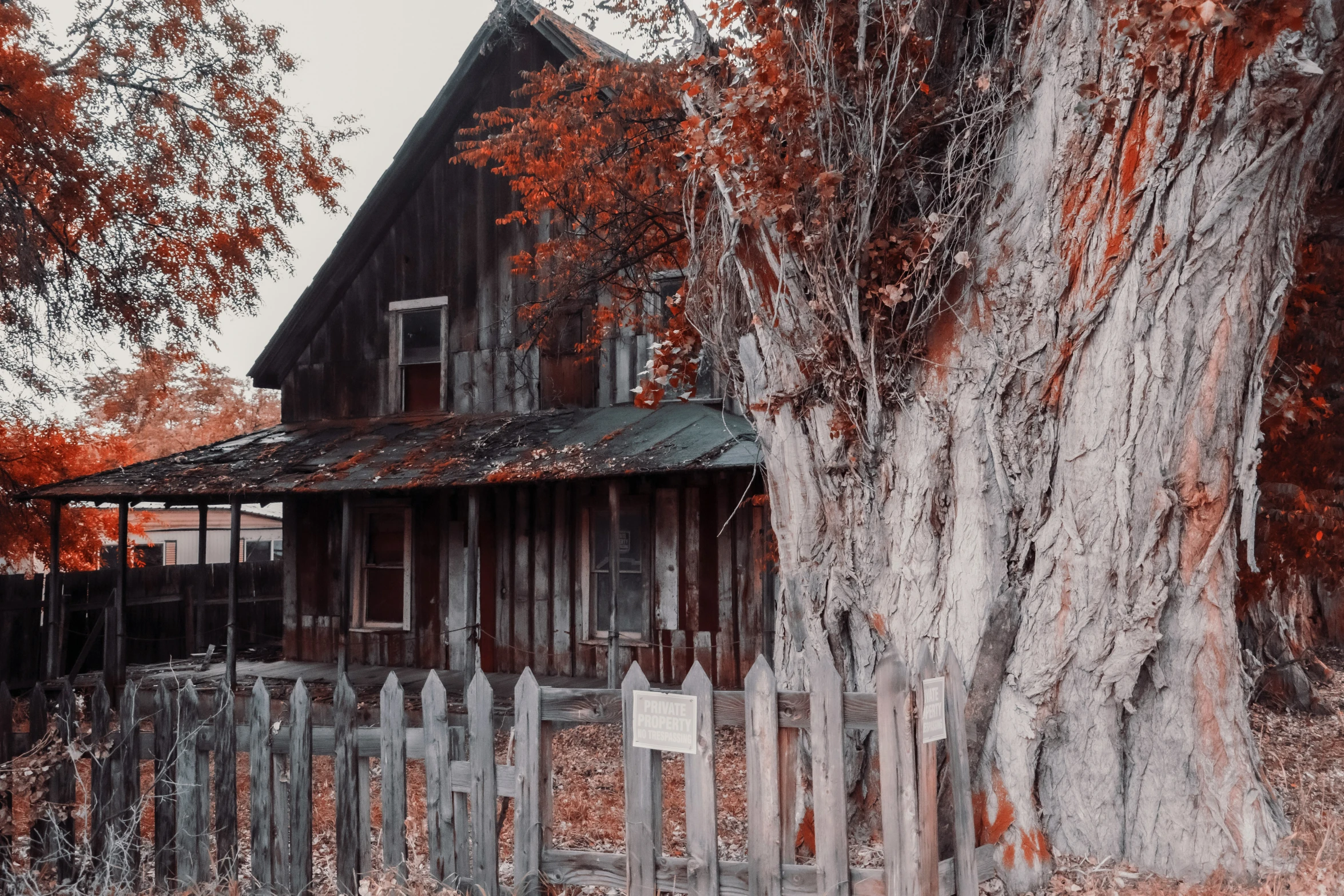 an old house in the country with lots of orange leaves