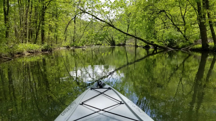 a boat traveling along the river under a green tree filled sky