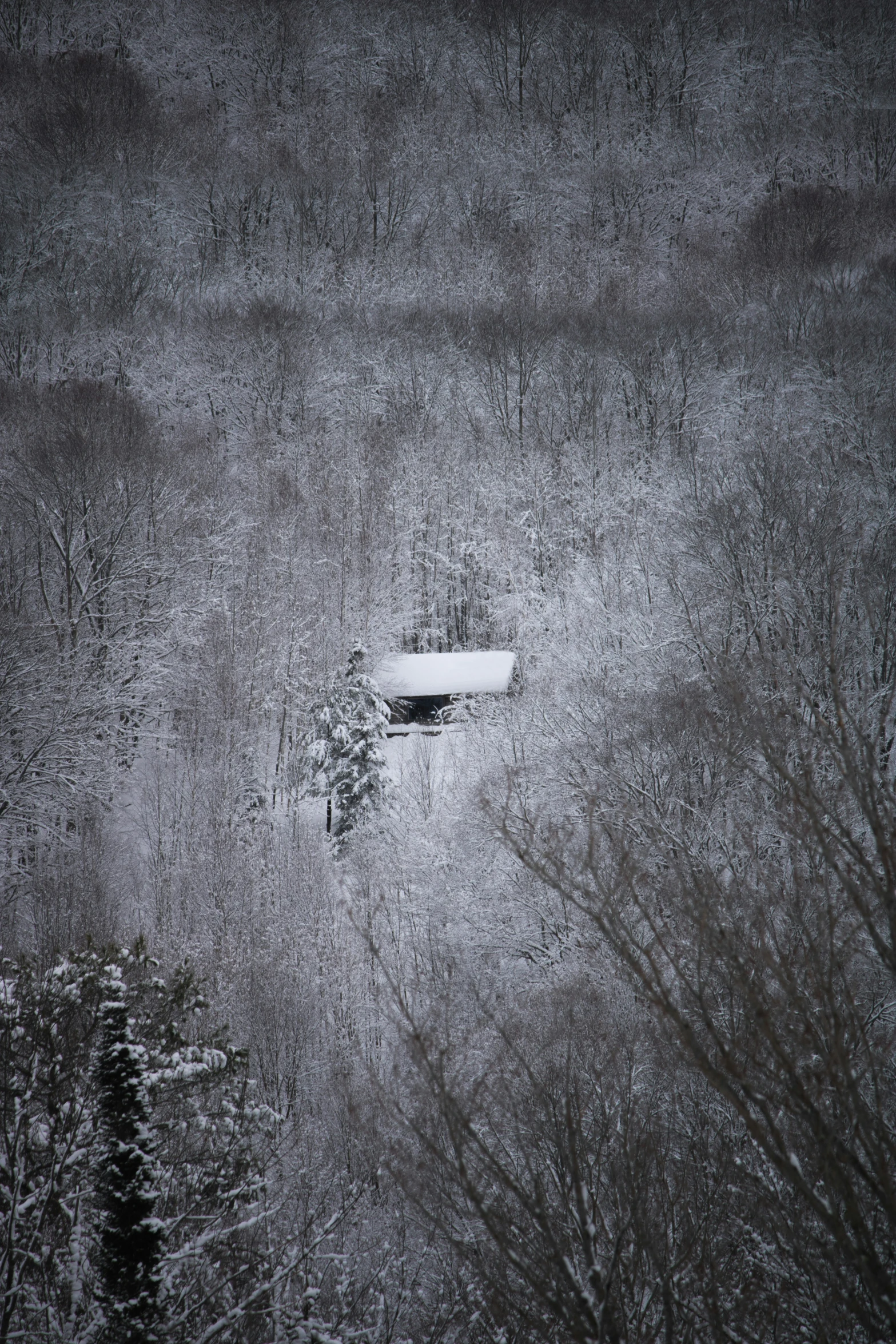 a house is in the middle of snow