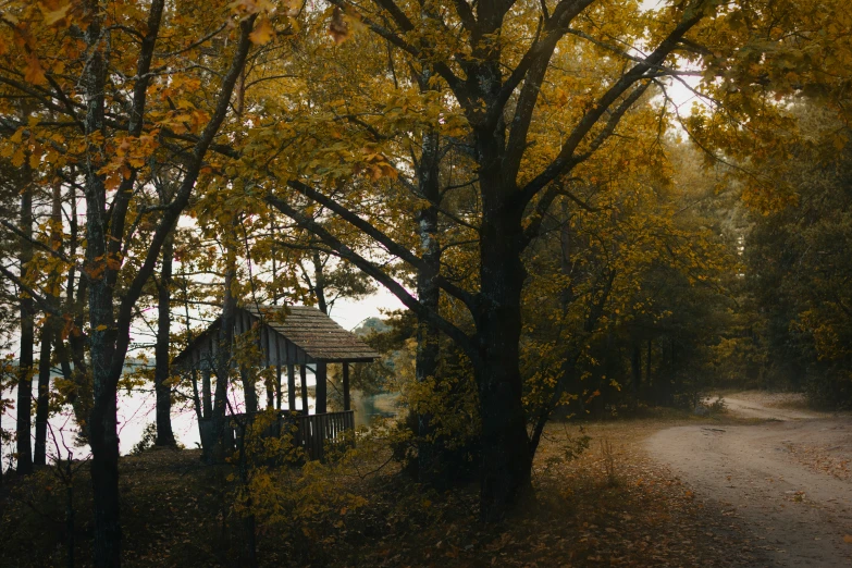 a path and tree with a boathouse in the background