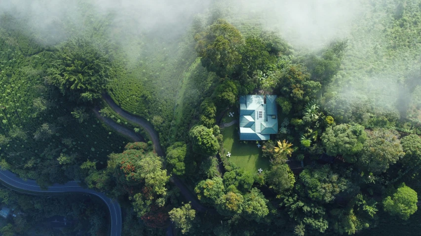 a house in the woods is surrounded by fog