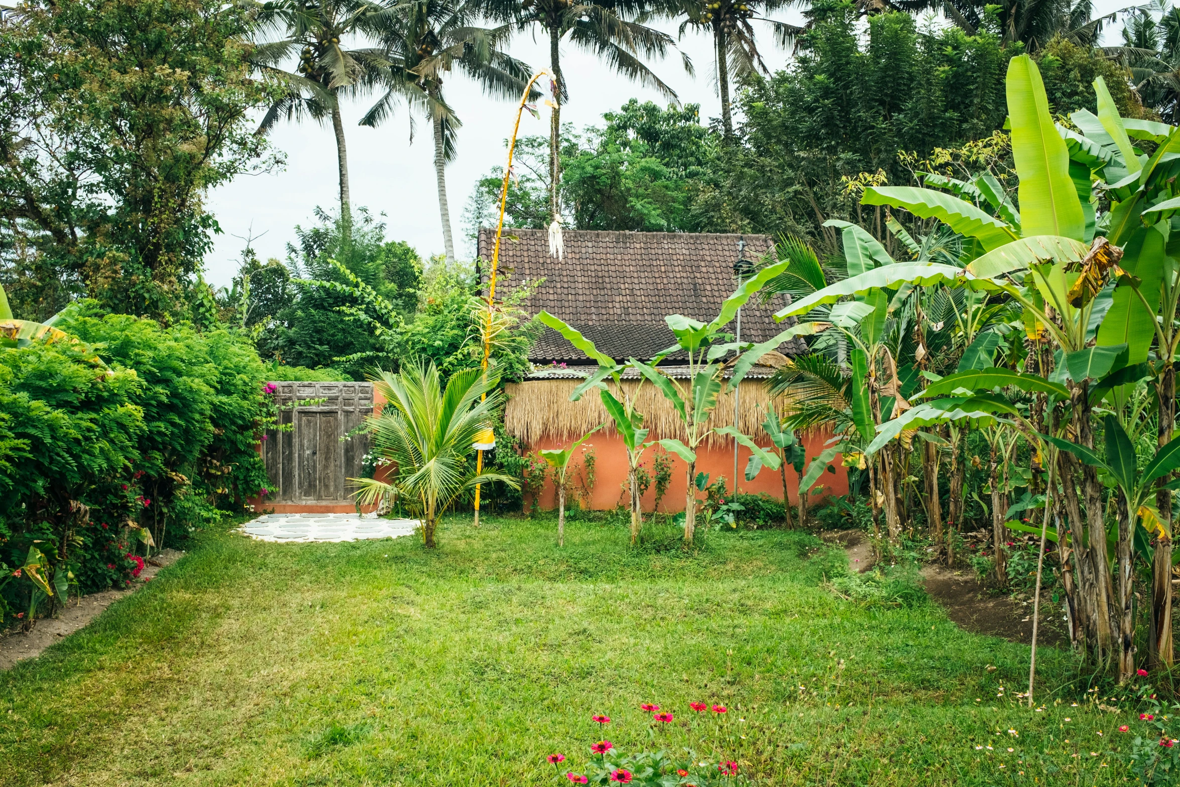 a lush green backyard with lots of bushes