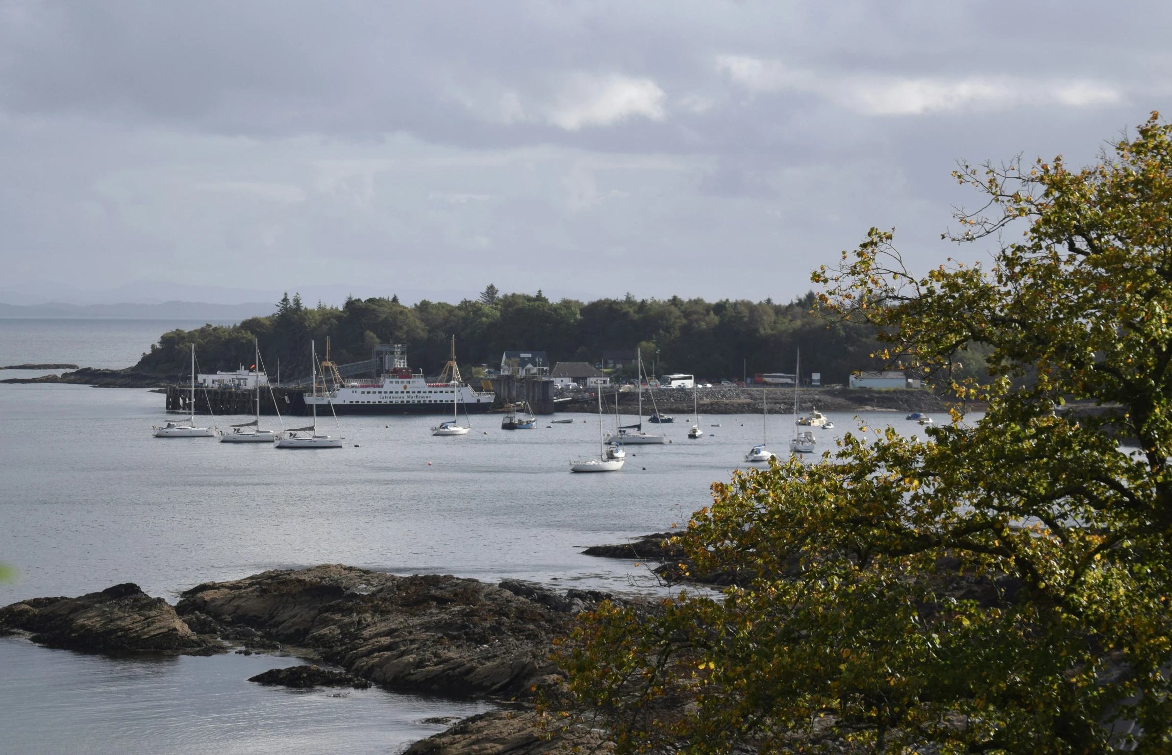 boats are floating in the water near a wooded island