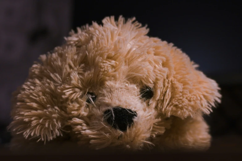 a close up of a small stuffed animal