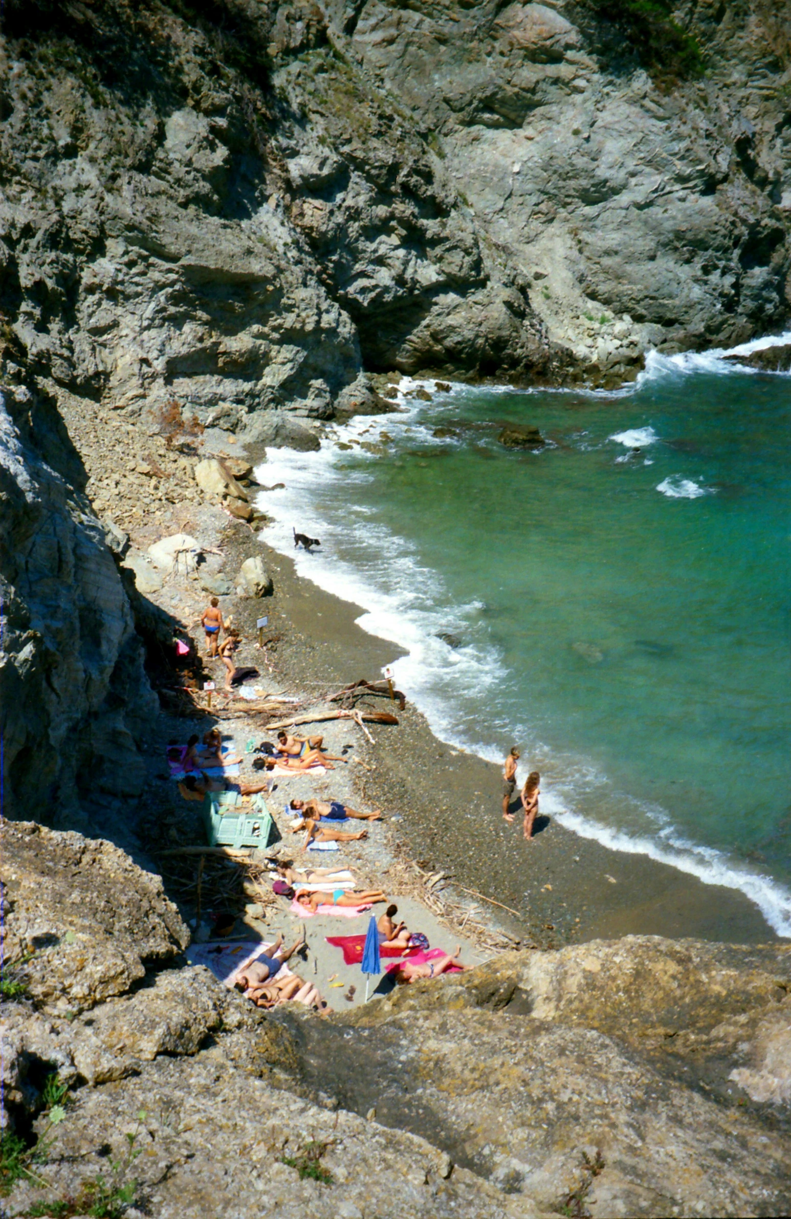 a group of people who are on the beach