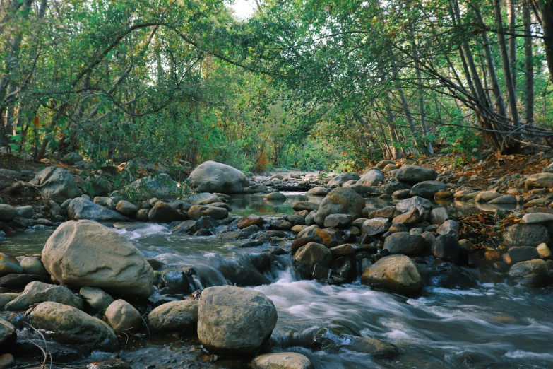 a small waterfall flows through the woods near rocks