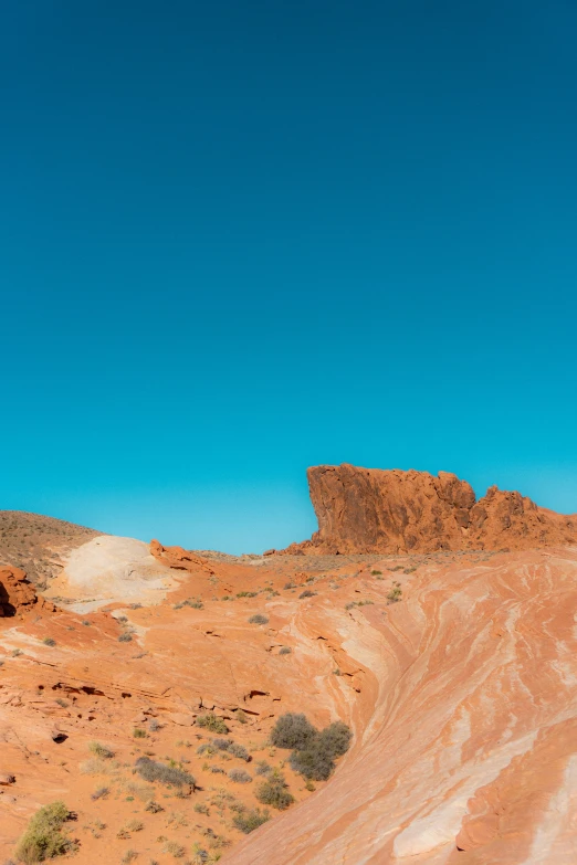 two horses are standing in the middle of the desert