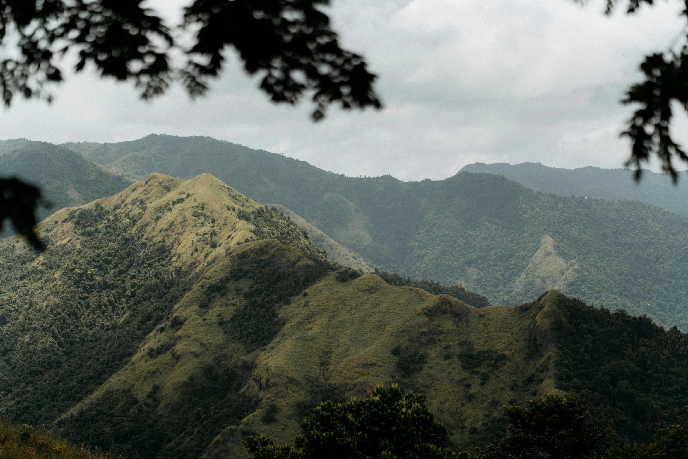 a cloudy mountain side with some trees in the foreground