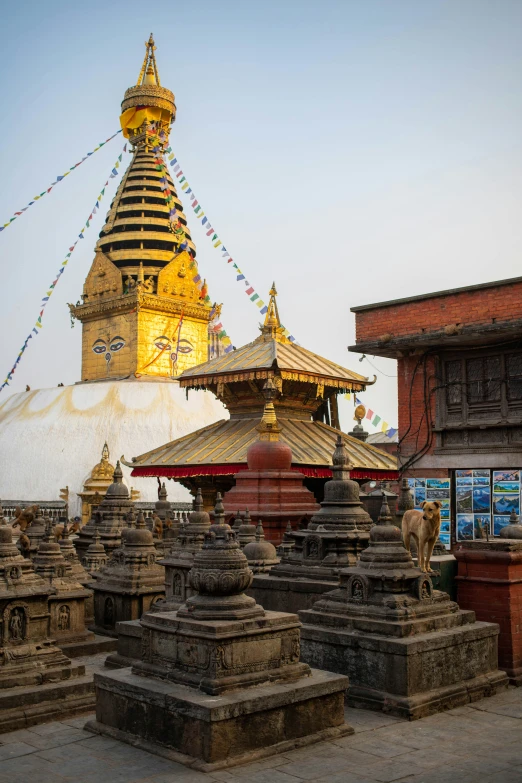 the golden pagoda stands high above the surrounding buildings