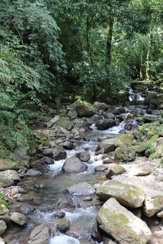 a stream running between the rocks in the woods