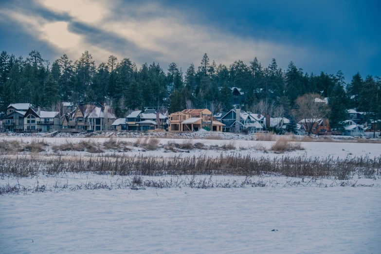 snow covers a field, some houses and trees in the background