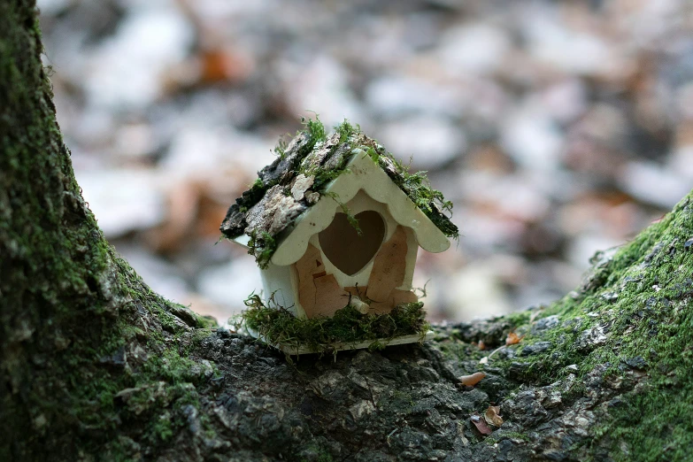 a birdhouse made from a tree with a heart and a window is on the nch