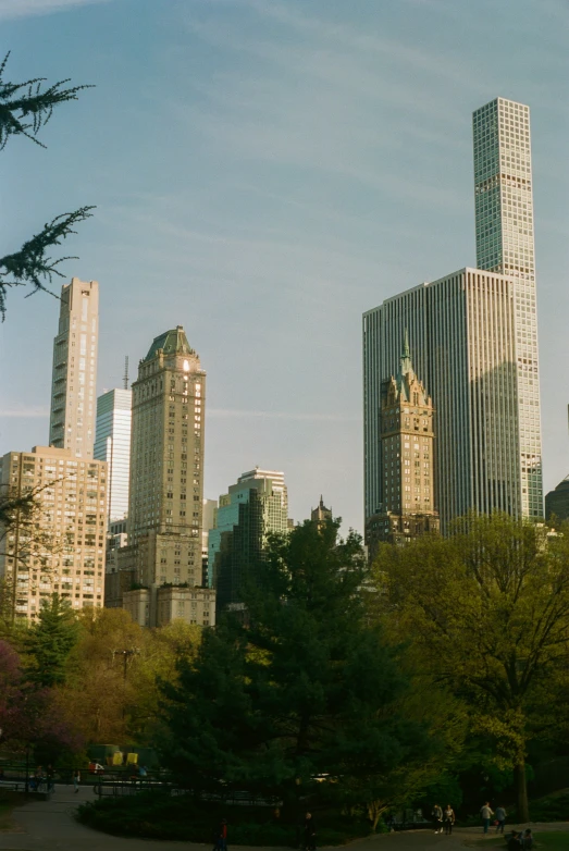 view of the skyscrs in central park, new york city