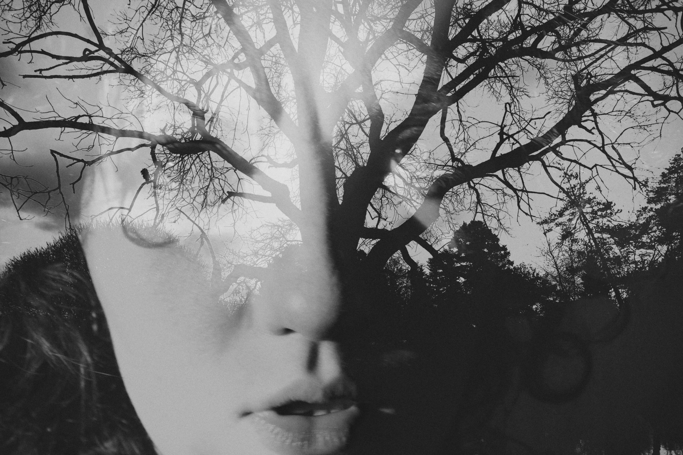 an abstract pograph with the image of a tree and a face