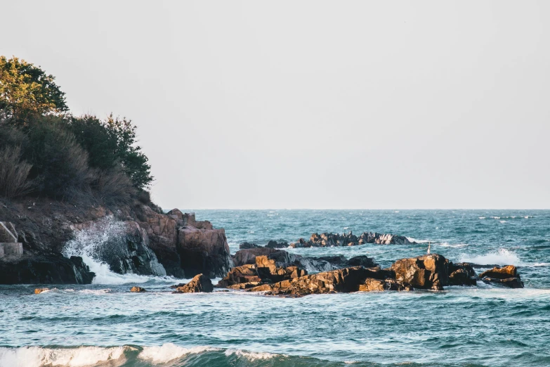 a bird standing on a rock cliff above the ocean