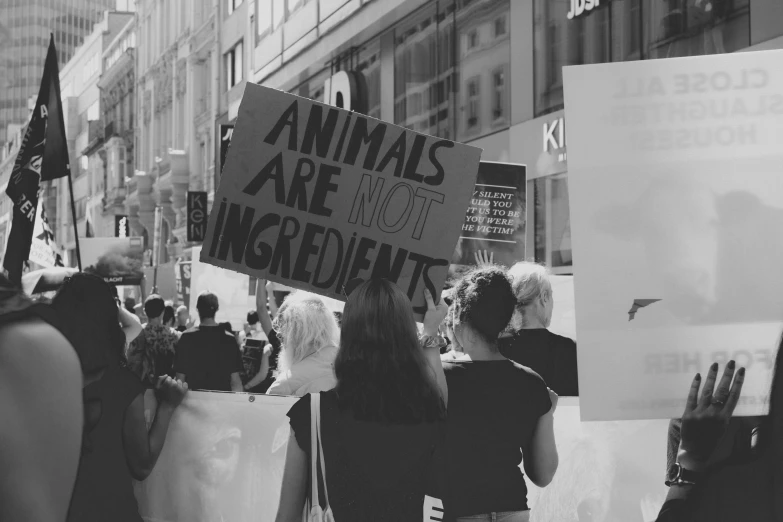 people marching down the street with signs on them