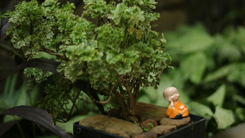 an orange statue sitting in a planter on some dirt