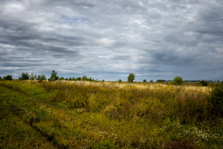 there is a very cloudy sky over this field