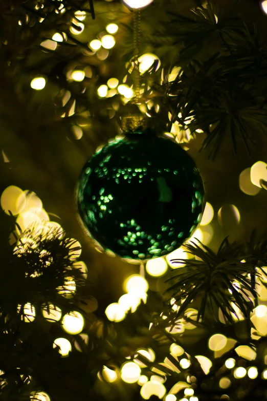 close up of green bauble on pine tree in dark