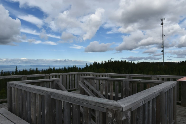 there is a roof top deck with trees below