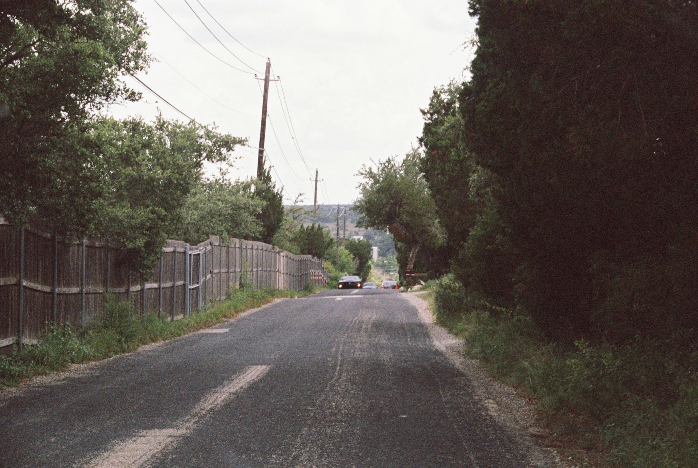 a picture of a car on an empty road with lots of trees