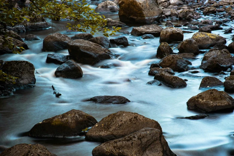 water and rocks with a bunch of trees in the background