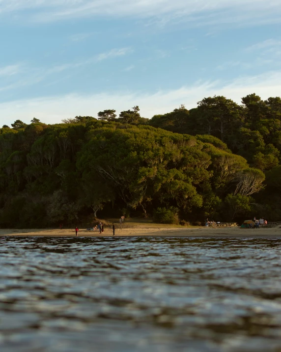 a group of people riding surfboards on top of a river