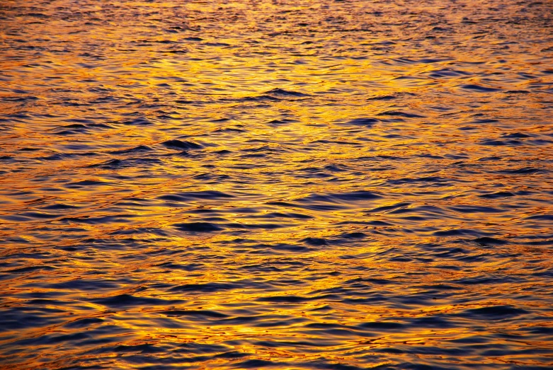 a yellow glow on the surface of water