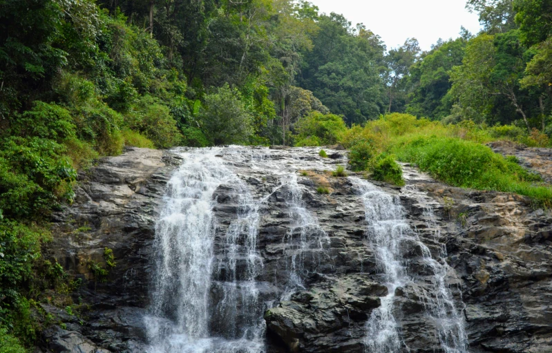 waterfall in the woods is next to the road