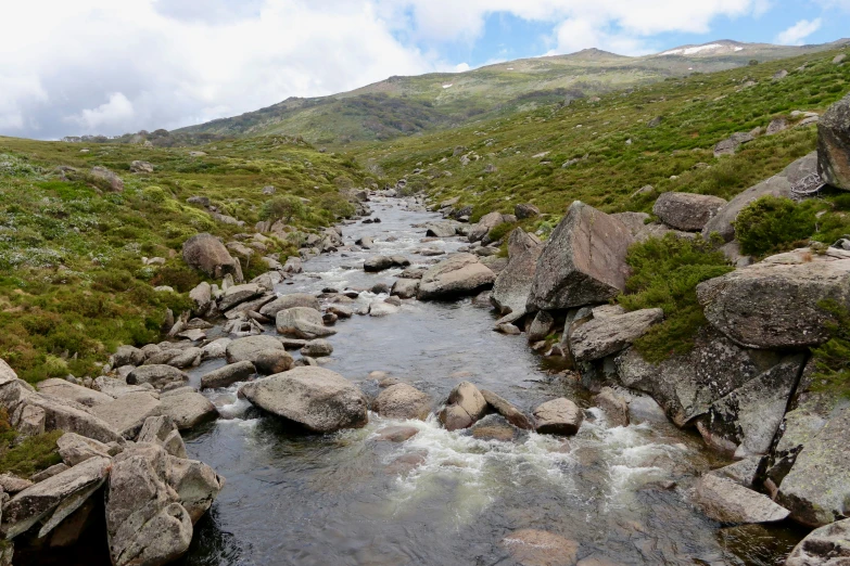 an idyllic stream running through a lush green landscape